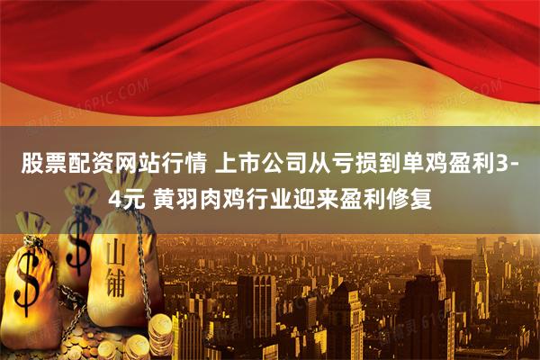 股票配资网站行情 上市公司从亏损到单鸡盈利3-4元 黄羽肉鸡行业迎来盈利修复